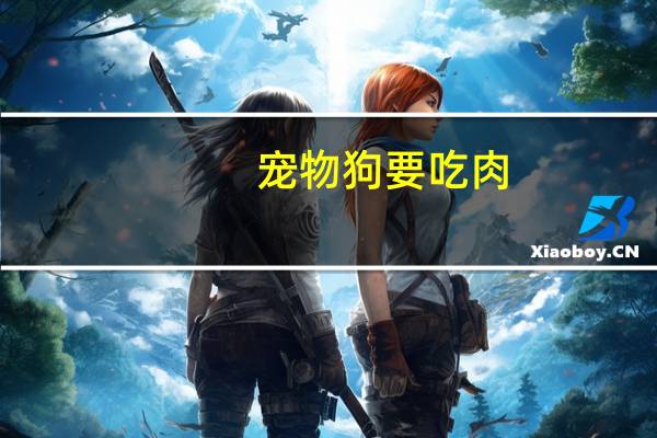 宠物狗要吃肉