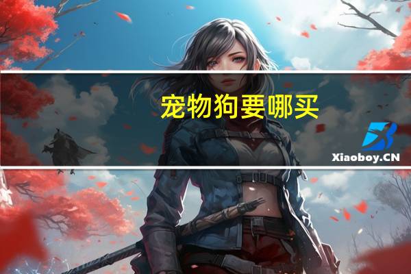 宠物狗要哪买