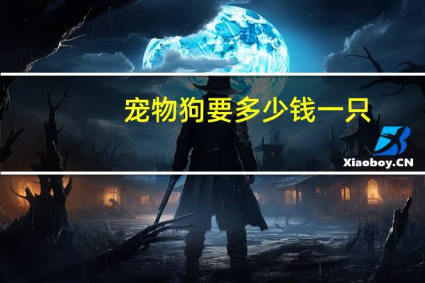 宠物狗要多少钱一只