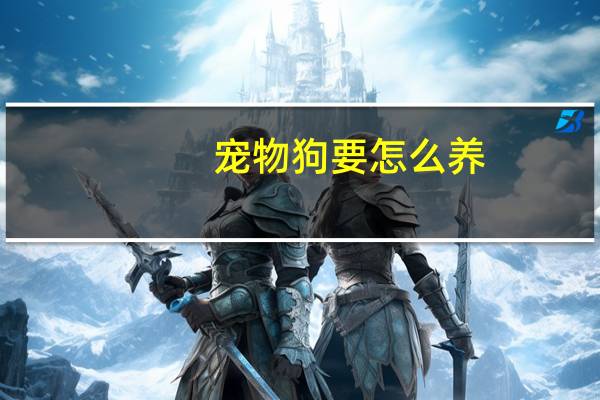 宠物狗要怎么养