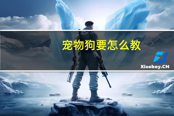 宠物狗要怎么教