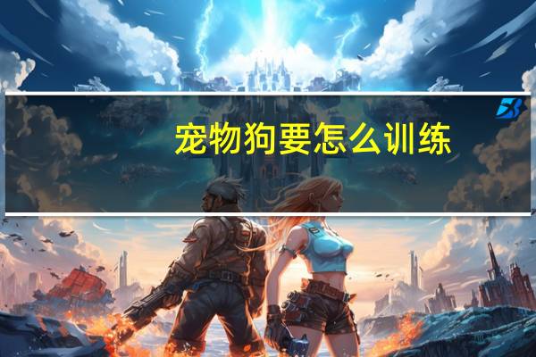宠物狗要怎么训练