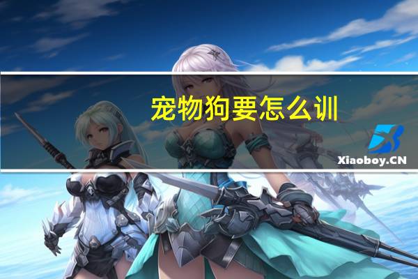 宠物狗要怎么训