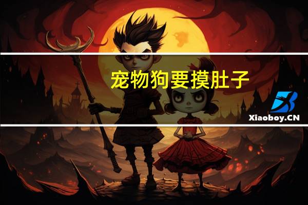 宠物狗要摸肚子