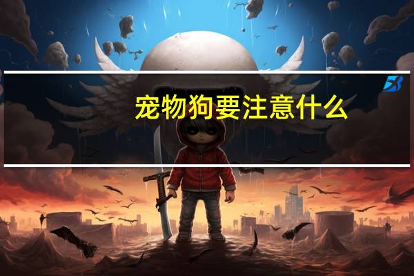 宠物狗要注意什么