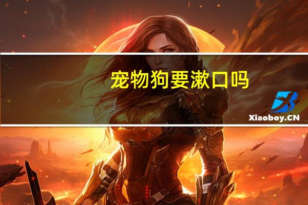 宠物狗要漱口吗