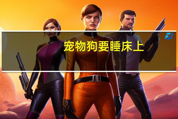 宠物狗要睡床上