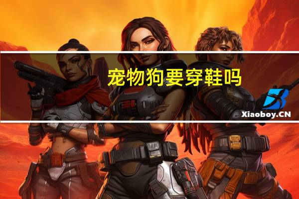 宠物狗要穿鞋吗