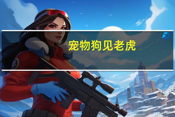 宠物狗见老虎