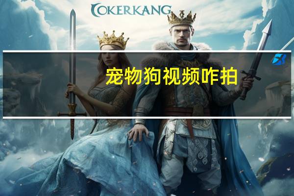 宠物狗视频咋拍