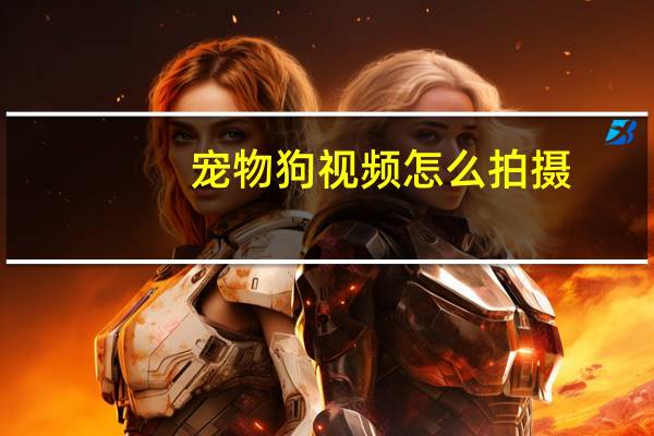 宠物狗视频怎么拍摄