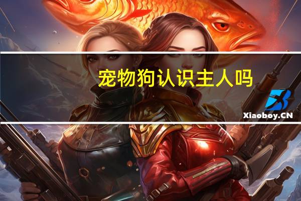 宠物狗认识主人吗