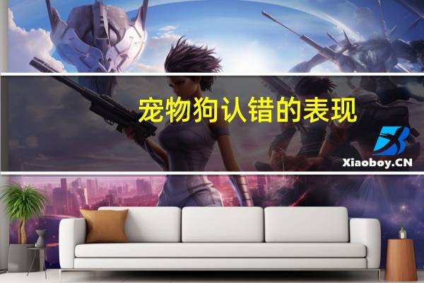 宠物狗认错的表现