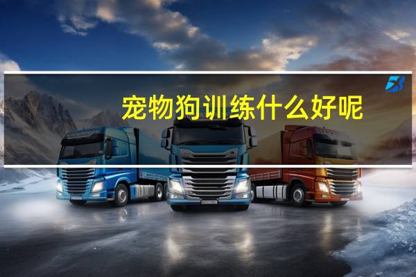 宠物狗训练什么好呢