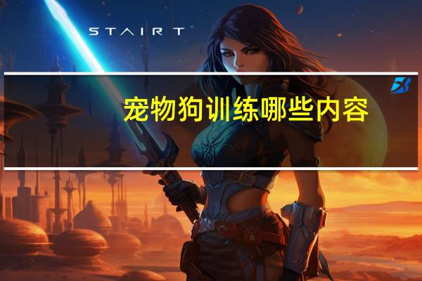 宠物狗训练哪些内容