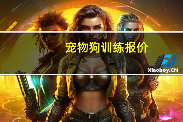 宠物狗训练报价