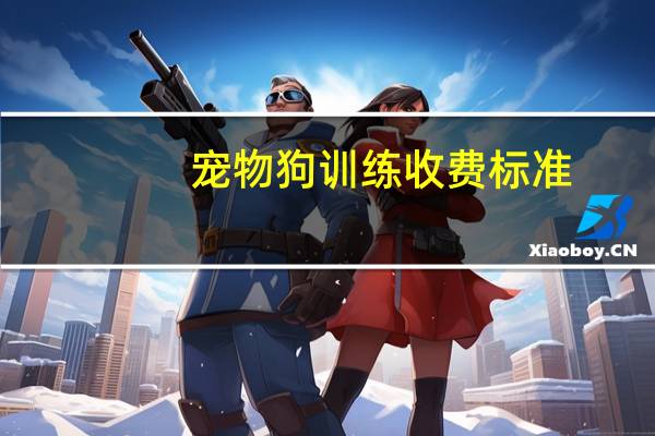 宠物狗训练收费标准