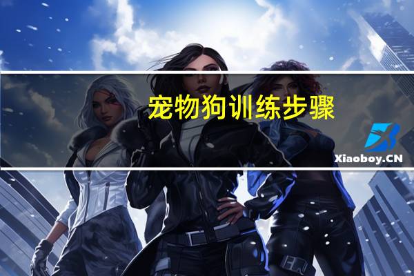 宠物狗训练步骤
