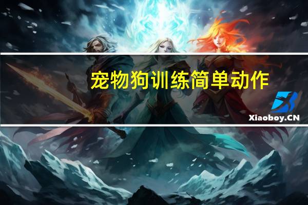 宠物狗训练简单动作