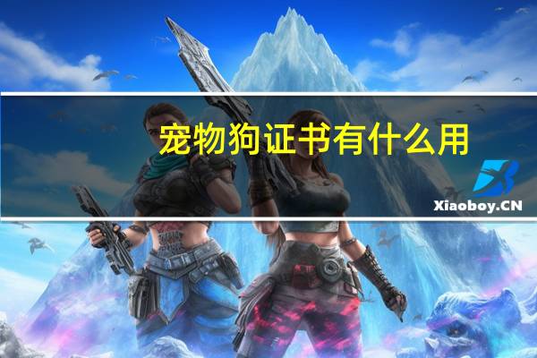 宠物狗证书有什么用