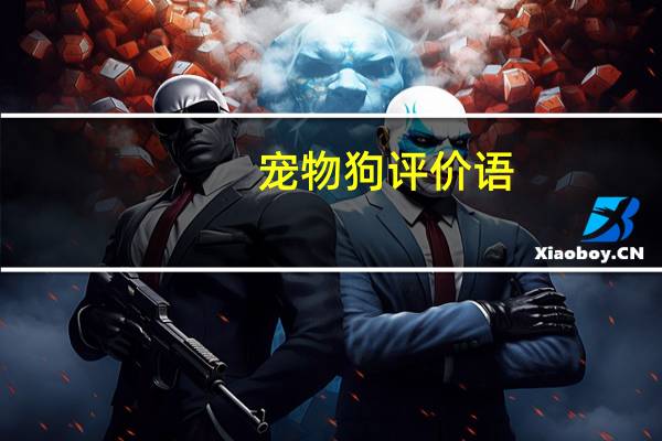 宠物狗评价语