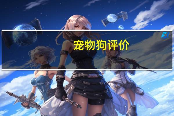 宠物狗评价