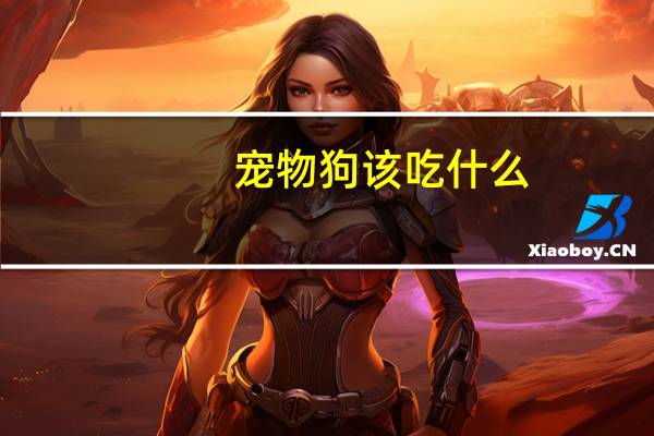 宠物狗该吃什么