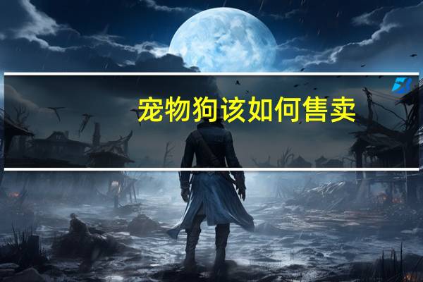 宠物狗该如何售卖