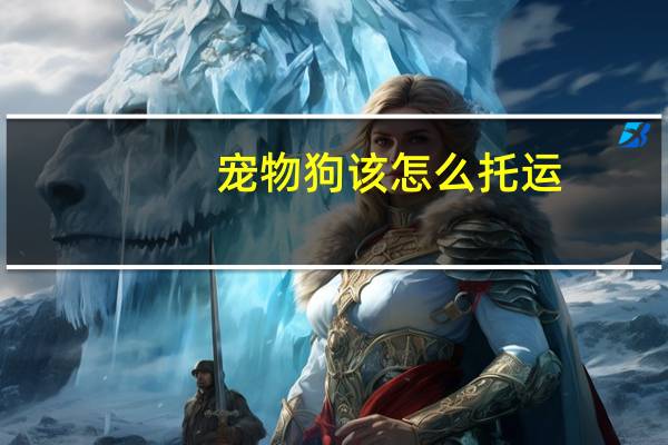 宠物狗该怎么托运