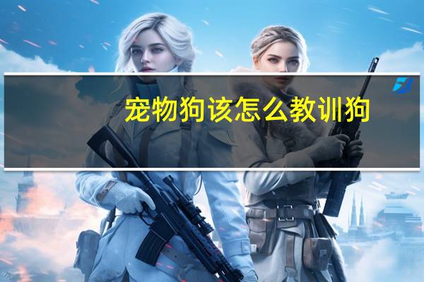 宠物狗该怎么教训狗