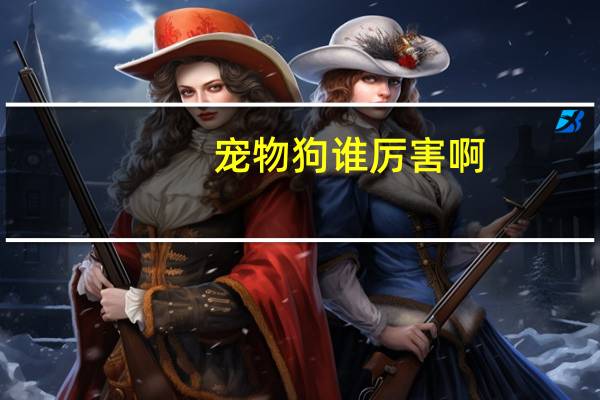 宠物狗谁厉害啊