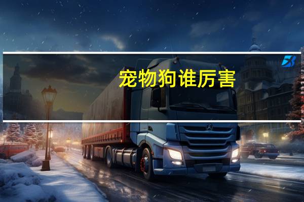 宠物狗谁厉害
