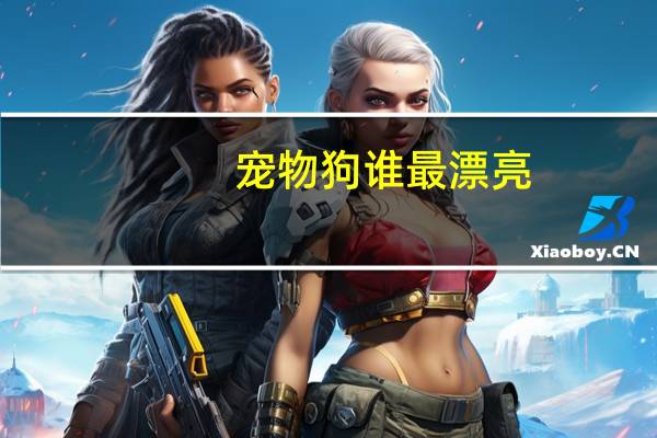 宠物狗谁最漂亮
