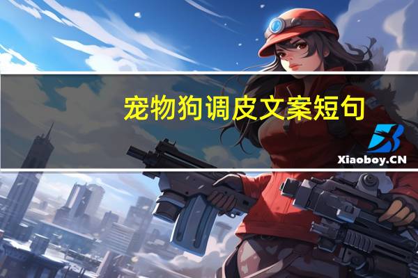 宠物狗调皮文案短句