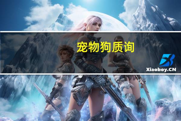 宠物狗质询