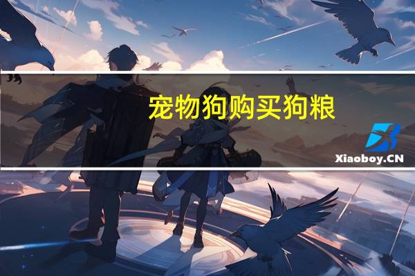 宠物狗购买狗粮
