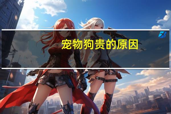 宠物狗贵的原因