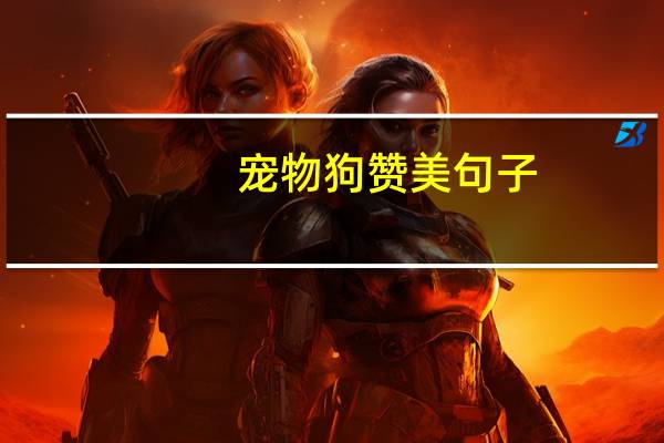 宠物狗赞美句子