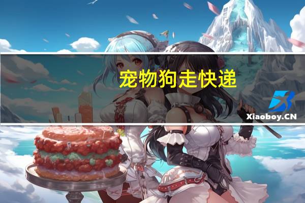 宠物狗走快递