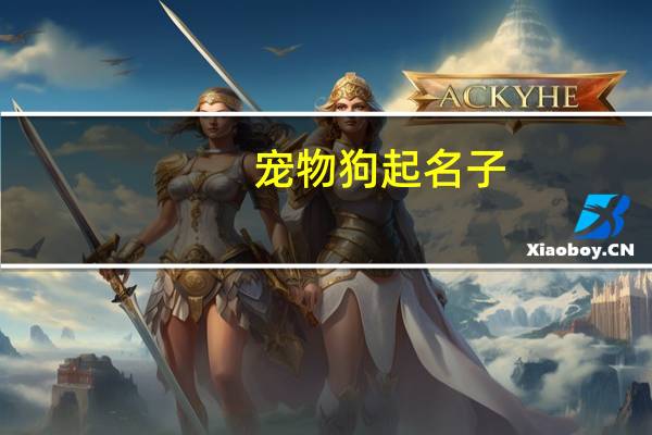 宠物狗起名子