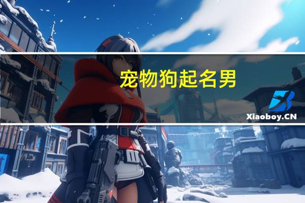 宠物狗起名男