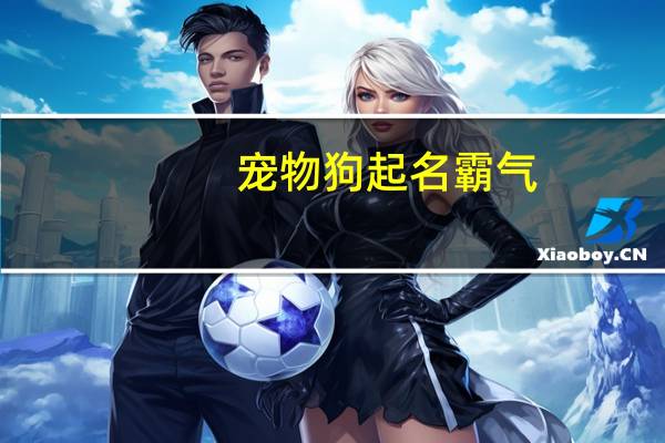 宠物狗起名霸气