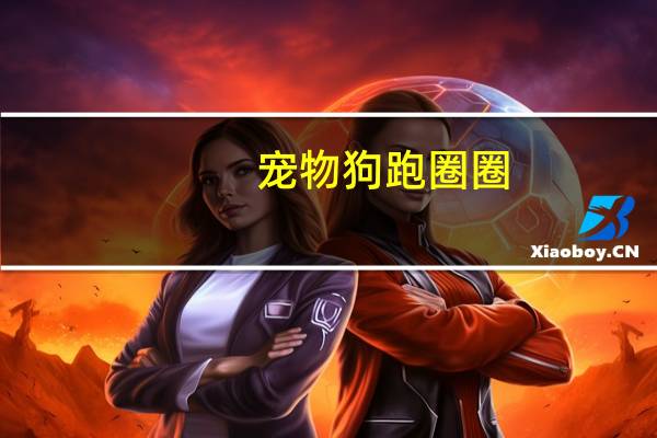 宠物狗跑圈圈