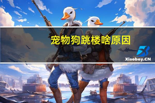 宠物狗跳楼啥原因