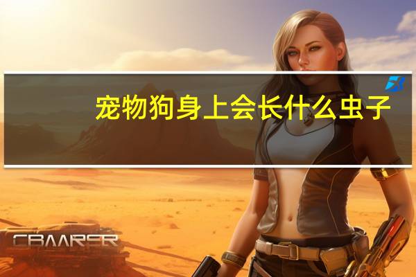 宠物狗身上会长什么虫子