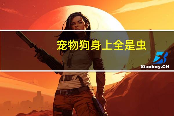 宠物狗身上全是虫