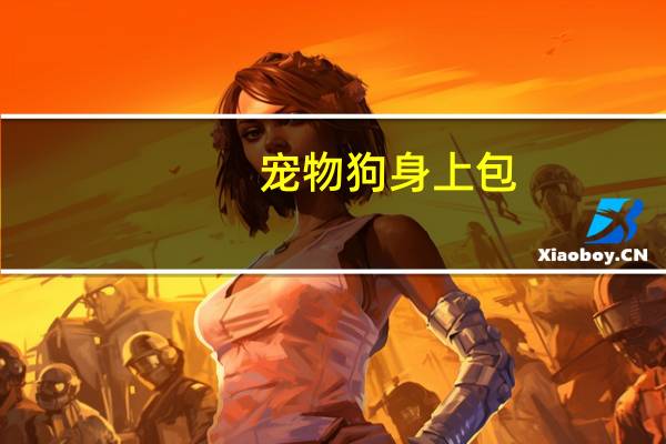 宠物狗身上包