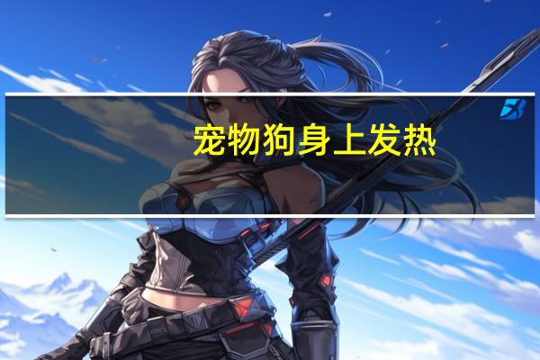 宠物狗身上发热