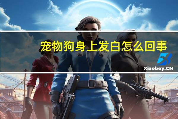 宠物狗身上发白怎么回事
