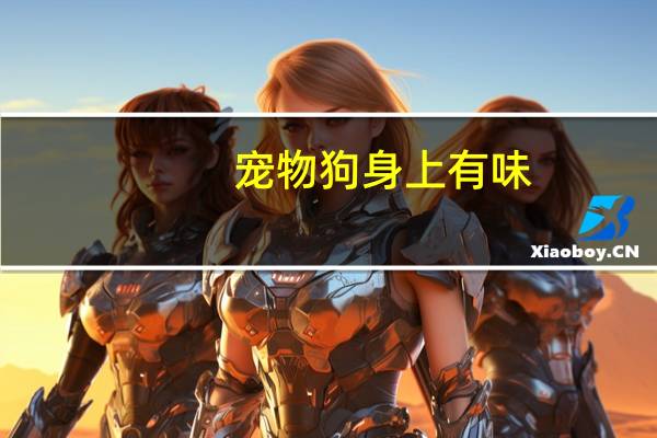 宠物狗身上有味